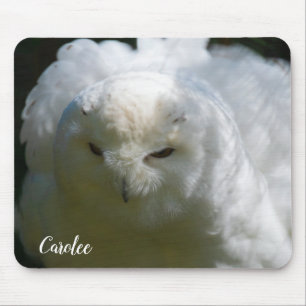 雪フクロウが鳥好きの名前をカスタムする マウスパッド