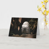 雪フクロウ・グリーティングカード カード (黄色い花)