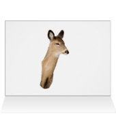 雪ブラシ付き鹿 (内部横(上))