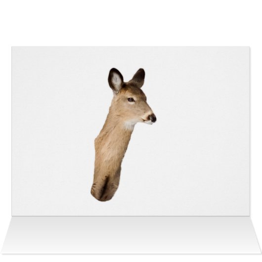 雪ブラシ付き鹿 (内部横(上))