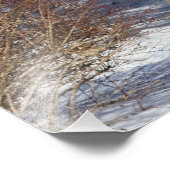 雪ブラシ付き鹿 フォトプリント            (角)