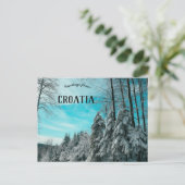 雪プラタッククロアチアで覆われた松の森 ポストカード (スタンド正面)