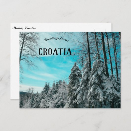 雪プラタッククロアチアで覆われた松の森 ポストカード (正面/裏面)