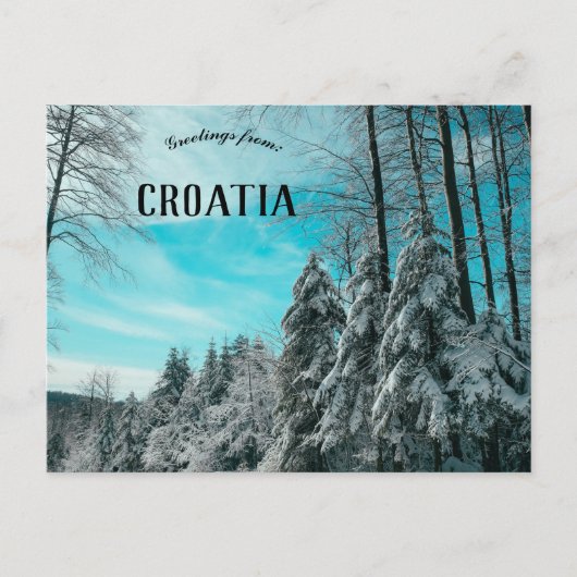 雪プラタッククロアチアで覆われた松の森 ポストカード (正面)