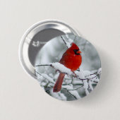 雪ボタンの赤い(鳥)ショウジョウコウカンチョウ 缶バッジ (正面&裏面)