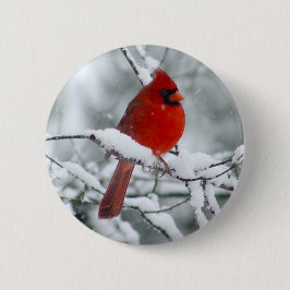 雪ボタンの赤い（鳥）ショウジョウコウカンチョウ 缶バッジ