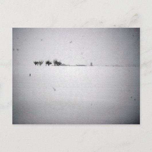 雪ミニマルはがき ポストカード (正面)