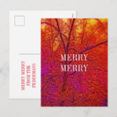 雪メリーメリー場 シーズンポストカード (正面/裏面)