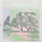 雪モダンの木の色 (正面/裏面)