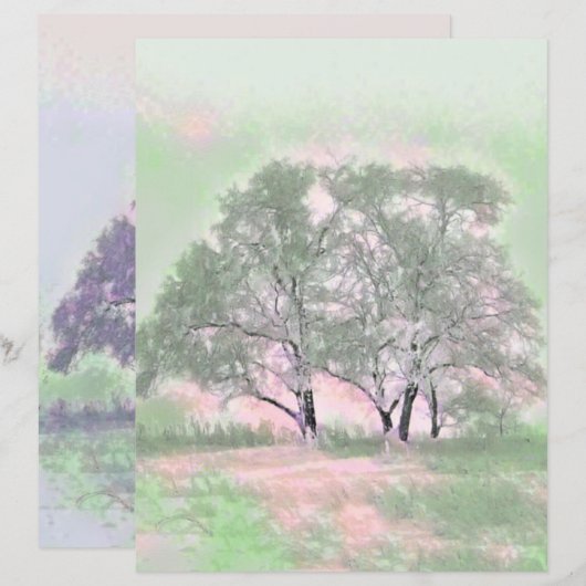 雪モダンの木の色 (正面/裏面)