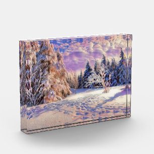 雪モダンの木の色 フォトブロック