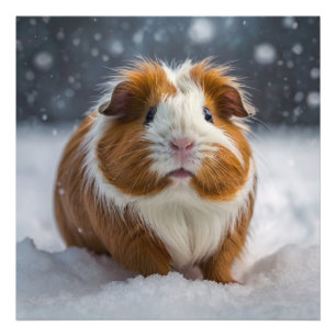 雪モルモット フォトプリント           