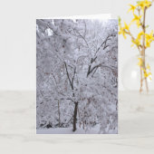 雪ラデンの木 カード (黄色い花)