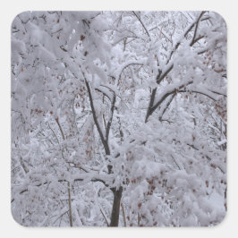 雪ラデンの木 スクエアシール