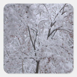 雪ラデンの木 スクエアシール