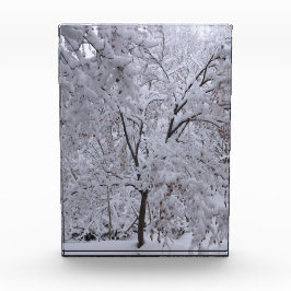 雪ラデンの木 フォトブロック