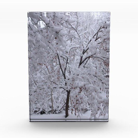 雪ラデンの木 フォトブロック (正面)