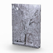 雪ラデンの木 フォトブロック (右)