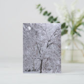 雪ラデンの木 ポストカード (スタンド正面)