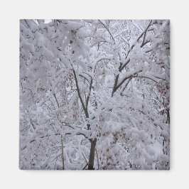 雪ラデンの木 マグネット