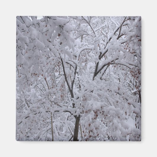 雪ラデンの木 マグネット (正面)