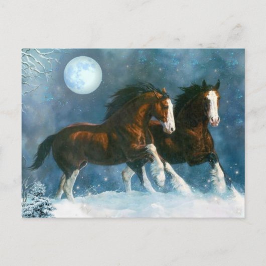 雪ランニングの中の馬 ポストカード (正面)