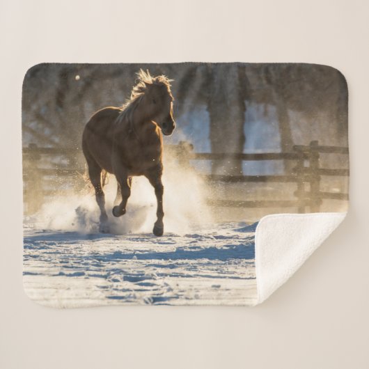 雪ランニングの中を馬が シェルパブランケット (正面(横))