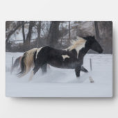 雪ランニングの中を馬が フォトプラーク (正面)