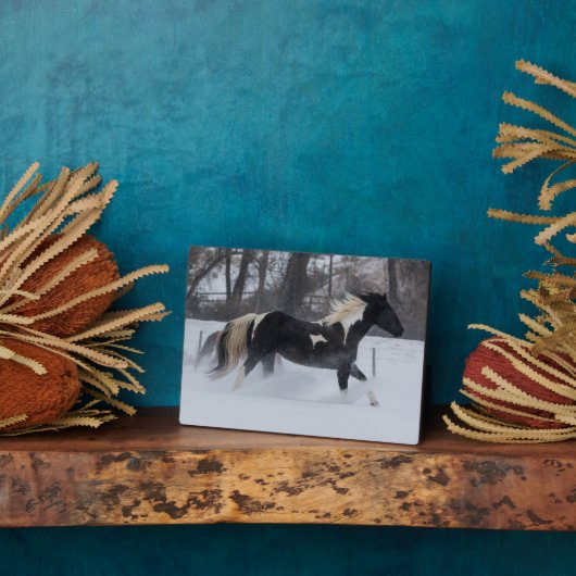 雪ランニングの中を馬が フォトプラーク (側面)