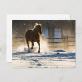 雪ランニングの中を馬が ポストカード (正面/裏面)