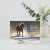 雪ランニングの中を馬が ポストカード (スタンド正面)