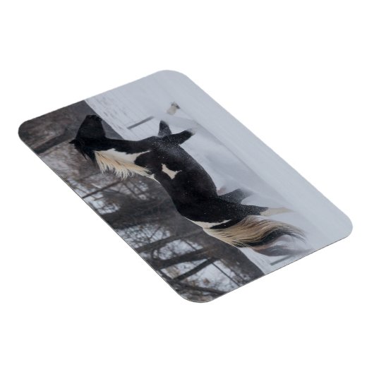 雪ランニングの中を馬が マグネット (右側)