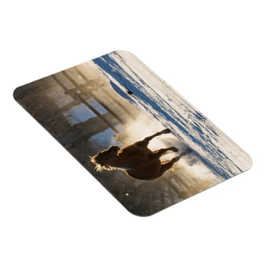 雪ランニングの中を馬が マグネット (右側)