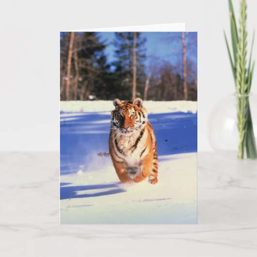 雪ランニング色の虎の写真グリーティングカード カード (正面)