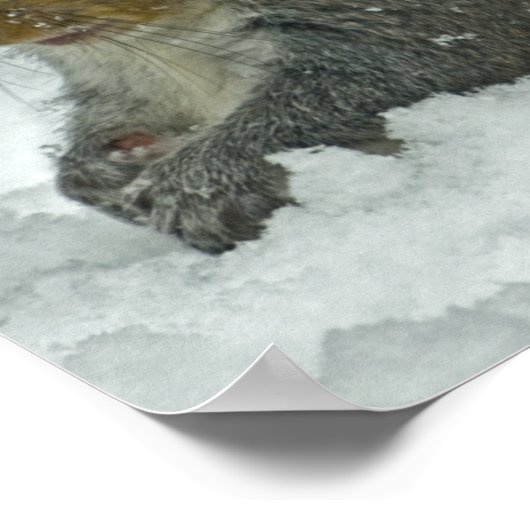 雪リス ポスター (角)