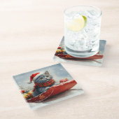 雪ロシアののクリスマスを過ごす大雪の青い猫 ガラスコースター (アングル)