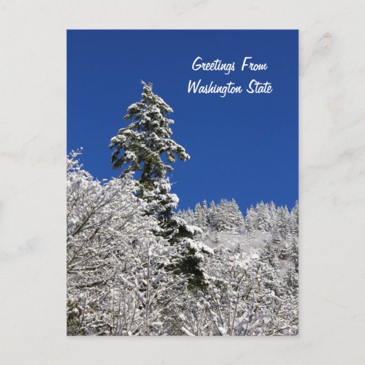 雪ワシントンからの山の挨拶キャップ ポストカード (正面)