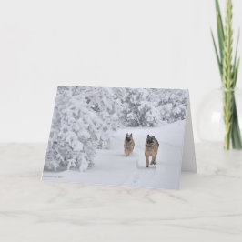 雪中のドイツのシェパード犬ランニング二匹の救出 カード