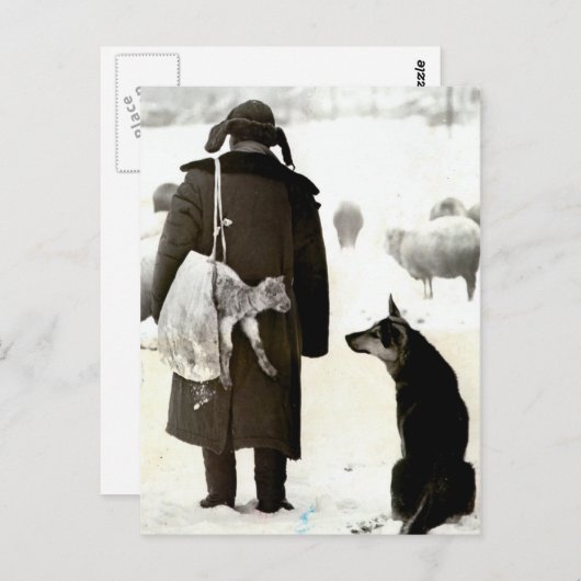 雪中の動物の出会い ポストカード (正面/裏面)