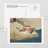 雪中鳥図(部分)、抱一鳥の雪(詳細)、鳳逸 ポストカード (正面/裏面)