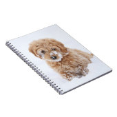 雪付きゴルデンドルパピー顔 ノートブック (右側)