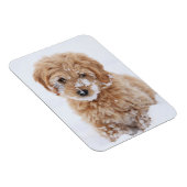 雪付きゴルデンドルパピー顔 マグネット (右側)