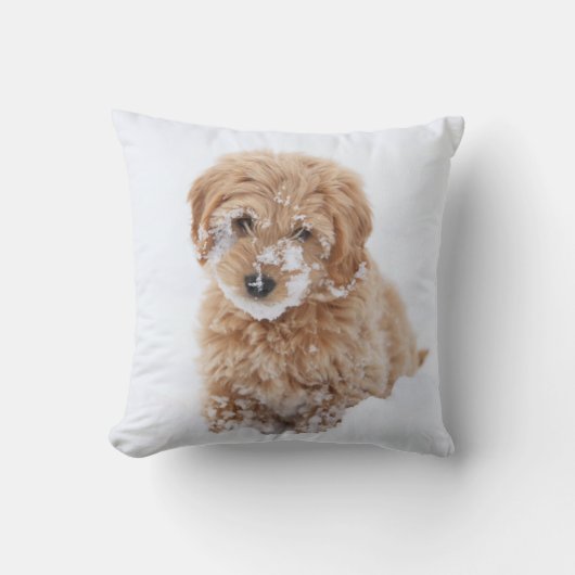 雪付きゴルデンドール顔 クッション (正面)