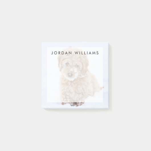 雪付きゴルデンドール顔 ポストイット (正面)