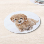 雪付きゴルデンドール顔 ラウンドペーパーコースター (アングル)