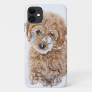 雪付きゴルデンドール顔 iPhone 11 ケース