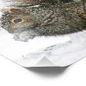 雪写真リスプリント フォトプリント            (角)