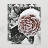 雪凍っていバラスケッチ紙シート (正面/裏面)