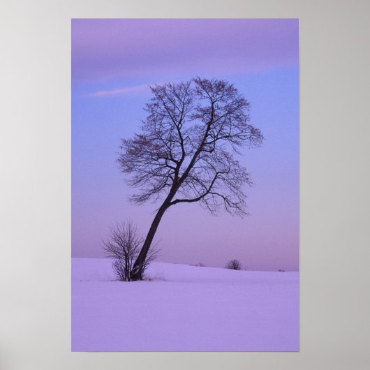 雪原に傾いた木； Chippewa County; ポスター (正面)