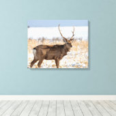 雪原のシカスタッグ |日本 キャンバスプリント (インサイチュ (ウッドフロア))